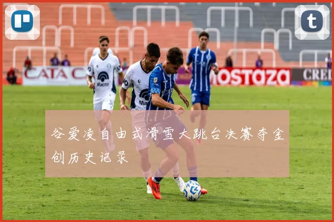 谷爱凌自由式滑雪大跳台决赛夺金创历史记录