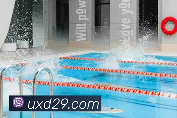 App Interface Preview